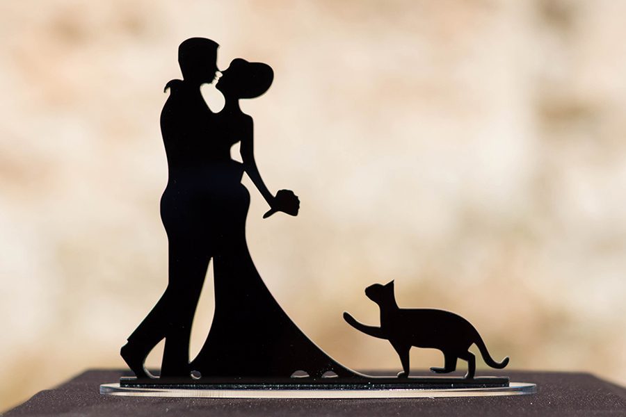 Topo de Bolo Casamento Noivos e Gato